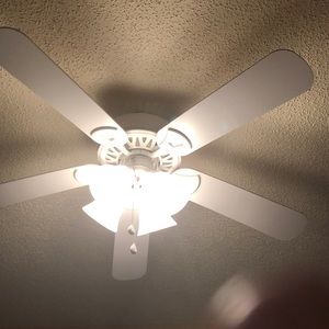 Meet your Posher, Caralyn